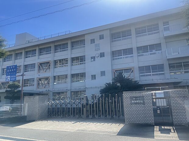 松山市立拓南中学校（約800m）