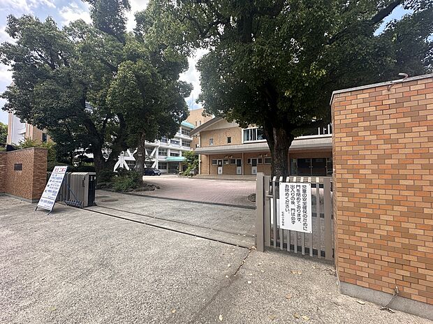 松前町立松前小学校(約1,000m)