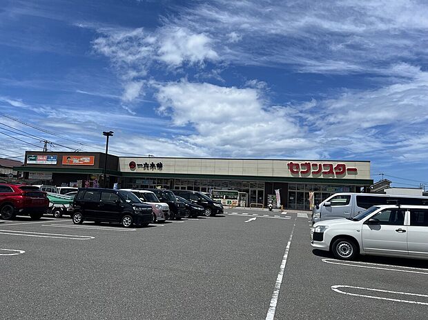 セブンスター垣生店（約190m）