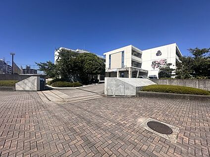 松山市立椿中学校 徒歩700m