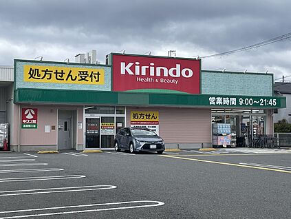 キリン堂高槻柳川店 約747ｍ(徒歩10分)