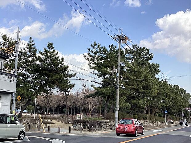 大井戸公園