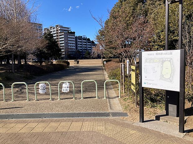 桃井原っぱ公園