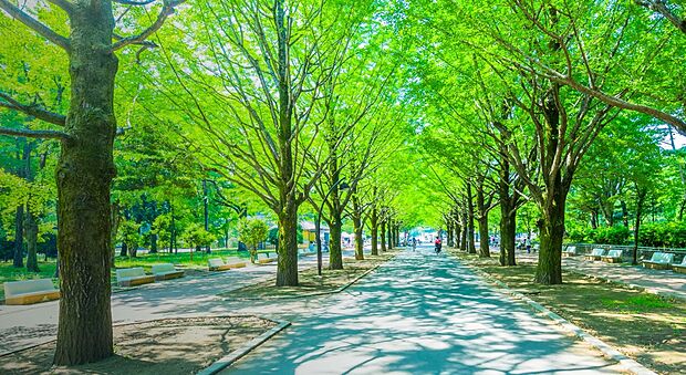 光が丘公園（約560m）