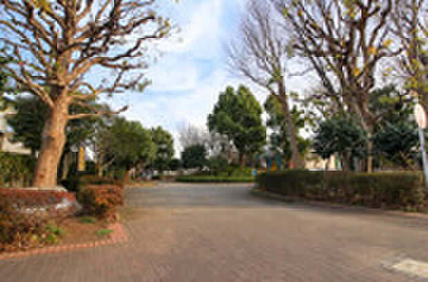 紅葉丘中央公園(約680m)