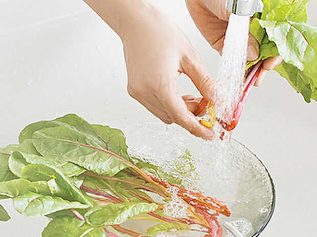 【【浄水器】】浄水器をスリムに内蔵したハンドシャワー式の水栓金具です。シンクもスッキリ！