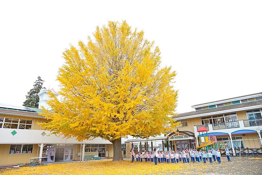 【学校】慈光幼稚園