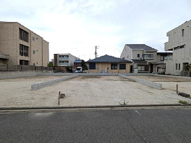 【2号地】2026年4月撮影