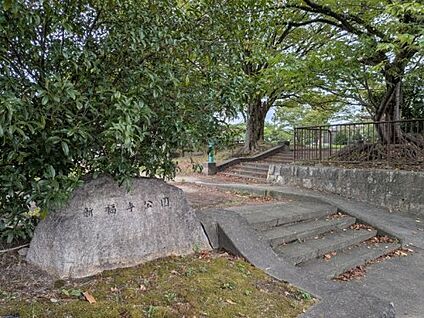 新福寺公園 徒歩231m