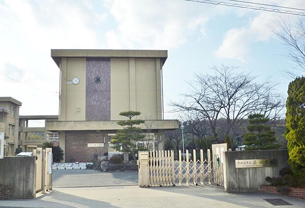 京田辺市立薪小学校（約1,100m）