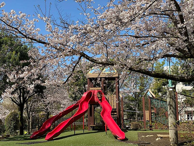 【その他】栗山公園