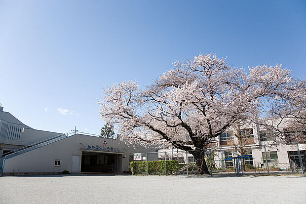 国立学園附属かたばみ幼稚園(約350m)