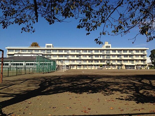 向陽中学校(約500m)