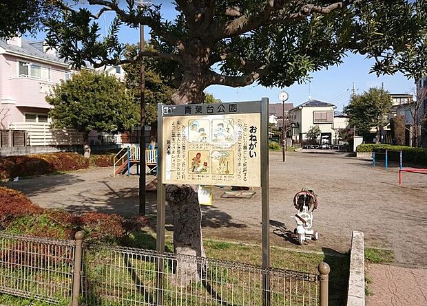 青葉台公園(約500m)