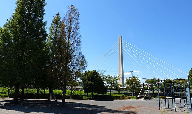 西府緑地（約650m）