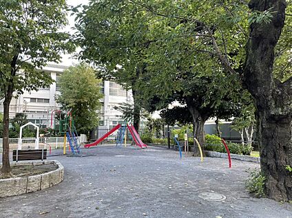 中新井公園 600ｍ