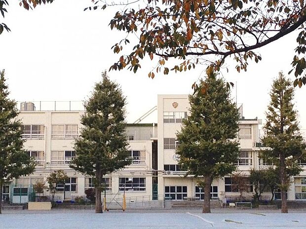 武蔵台小学校（約300m）