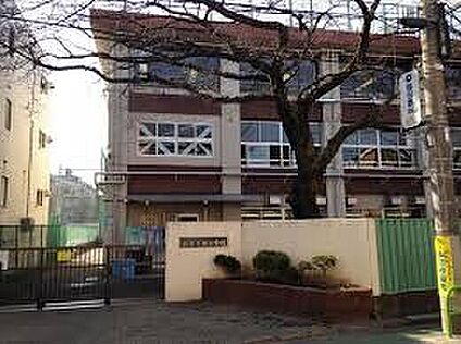 石神井西小学校 550ｍ