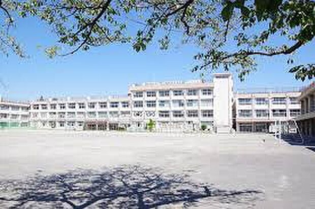 石神井西中学校(約70m)