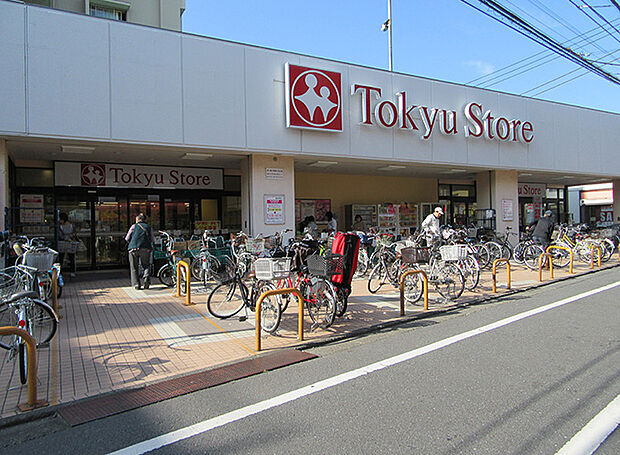 東急ストア東長崎店(約110m)
