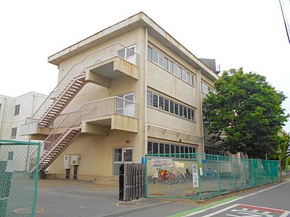 大砂土東小学校 800ｍ