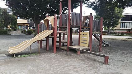 築地公園 50ｍ