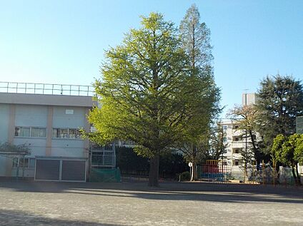 大宮小学校 350ｍ