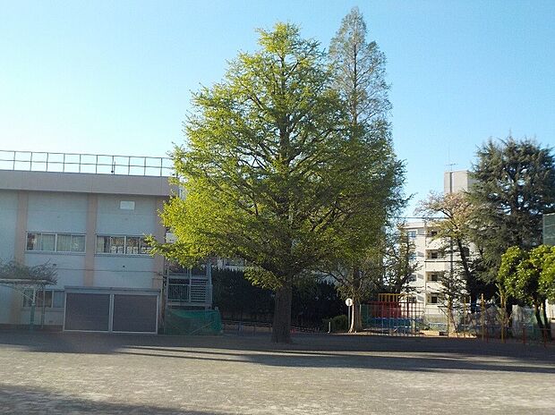 大宮小学校(約350m)