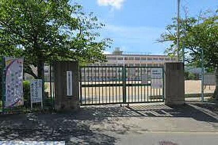 高槻市立安岡寺小学校 830ｍ(徒歩11分)