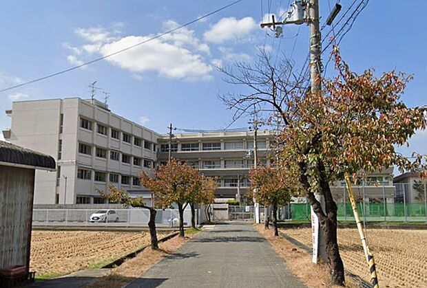 松原市立河合小学校(約470m)