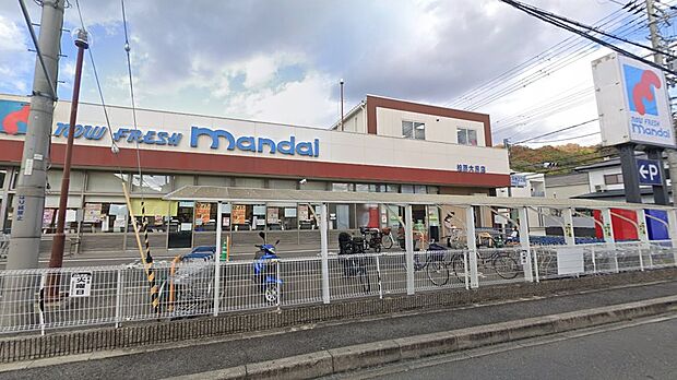 万代柏原大県店（約500m）