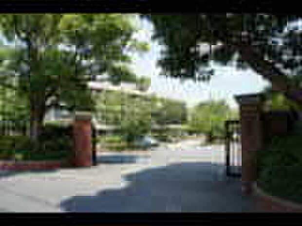 枚方市立第一中学校（約150m）