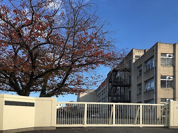 羽曳野市立河原城中学校（約800m）