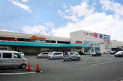 オークワ和歌山中之島店 1200ｍ(徒歩15分)