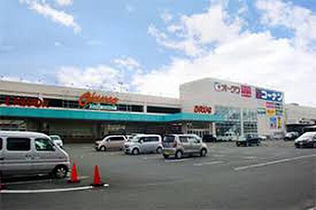 オークワ和歌山中之島店（約1,200m）