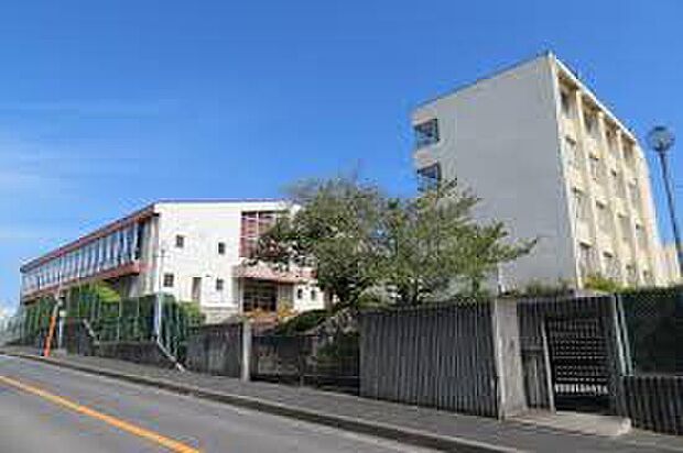 阪南市立鳥取東中学校(約1,100m)