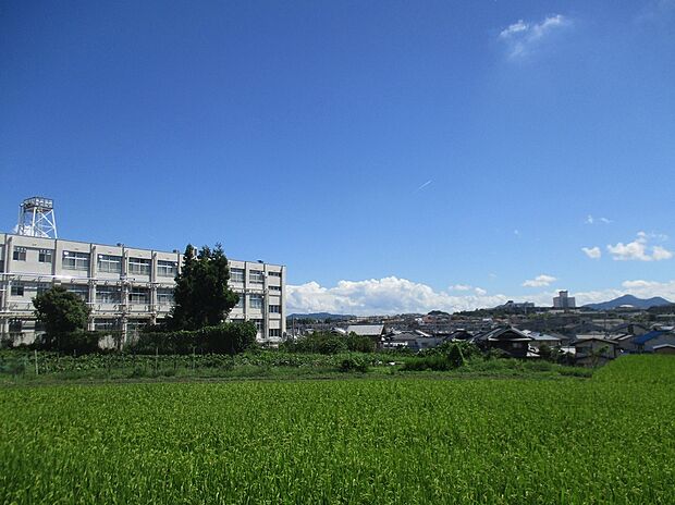 羽曳野市立丹比小学校（約300m）