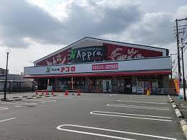 食品館アプロ沢良宜店（約770m）