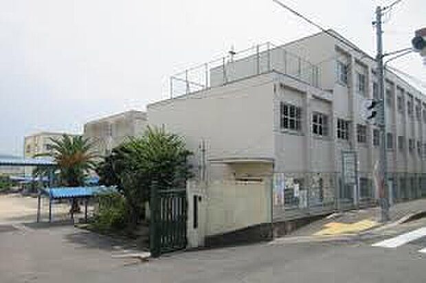 藤井寺市立道明寺東小学校（約320m）