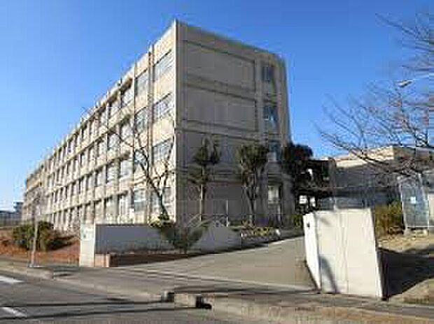 晴美台中学校（約100m）