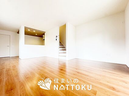 現地写真(リビング)