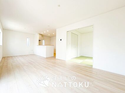 現地写真（リビング）