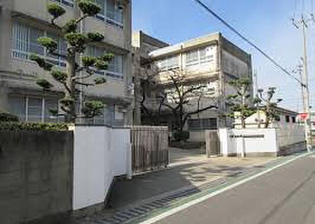 堺市立登美丘東小学校（約700m）