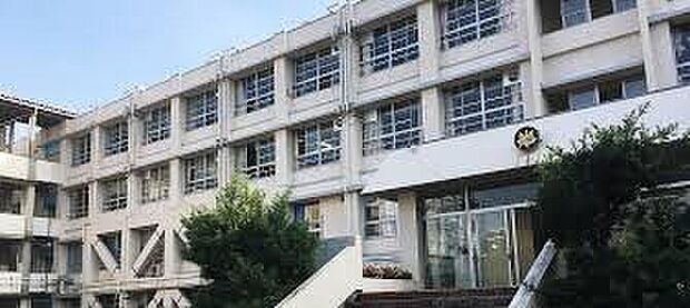 羽曳野市立峰塚中学校（約3,100m）