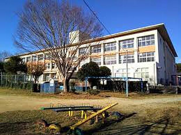甲賀市立大原小学校（約2m）