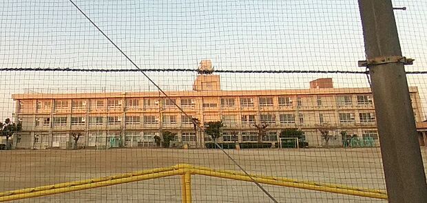 堺市立野田小学校（約850m）