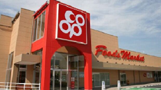 コープ城山店（約610m）