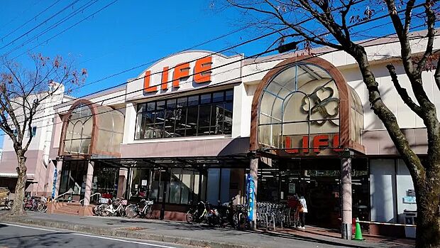 ライフ男山店(約470m)