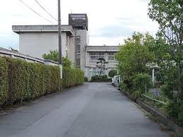 彦根市立中央中学校(約1,200m)