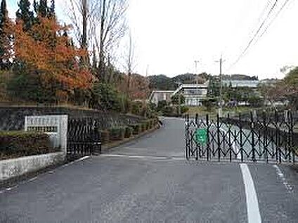 湖南市立三雲東小学校 1000ｍ(徒歩13分)